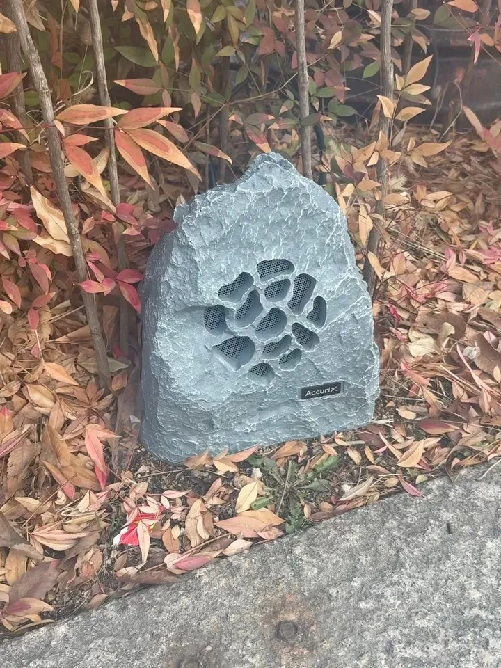 金圭丽公开在景福宫旁的秋日漫步