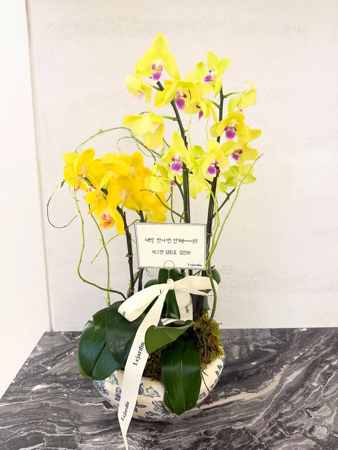 シム・ジンファ, ジェイフィール医院, オープン