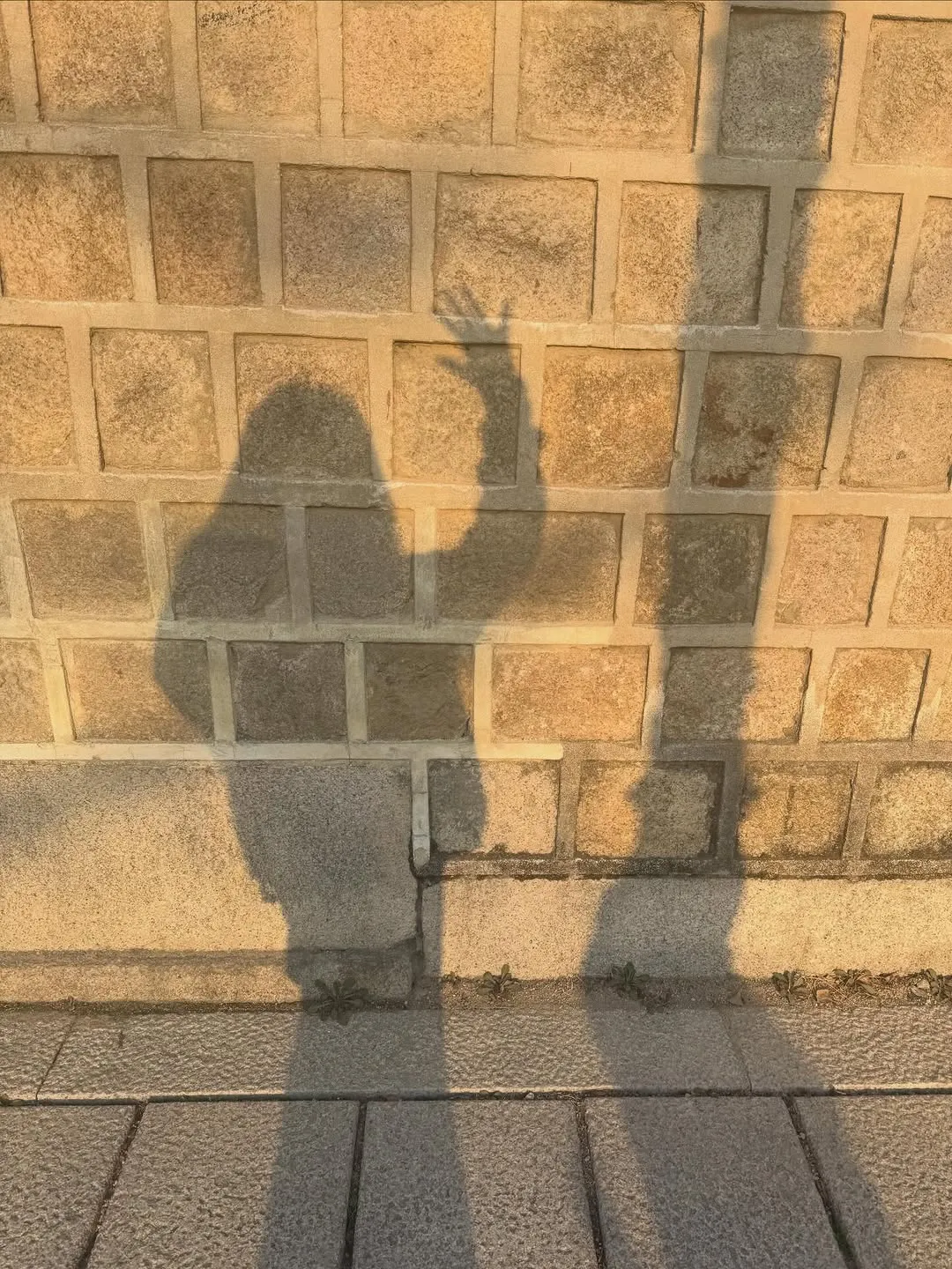 金圭丽, 演员, 景福宫散步