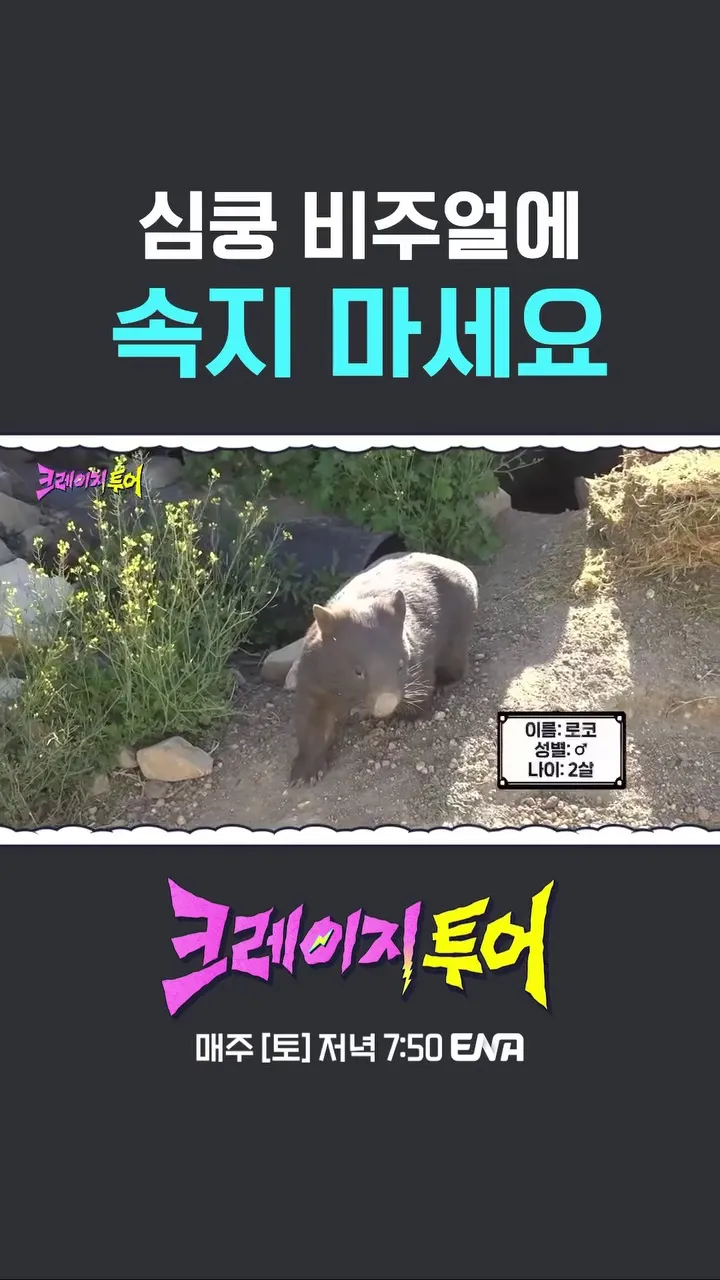 테오, 방송인, 앙💥