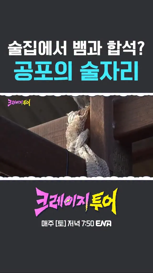 Teo与蛇共度的特别时刻