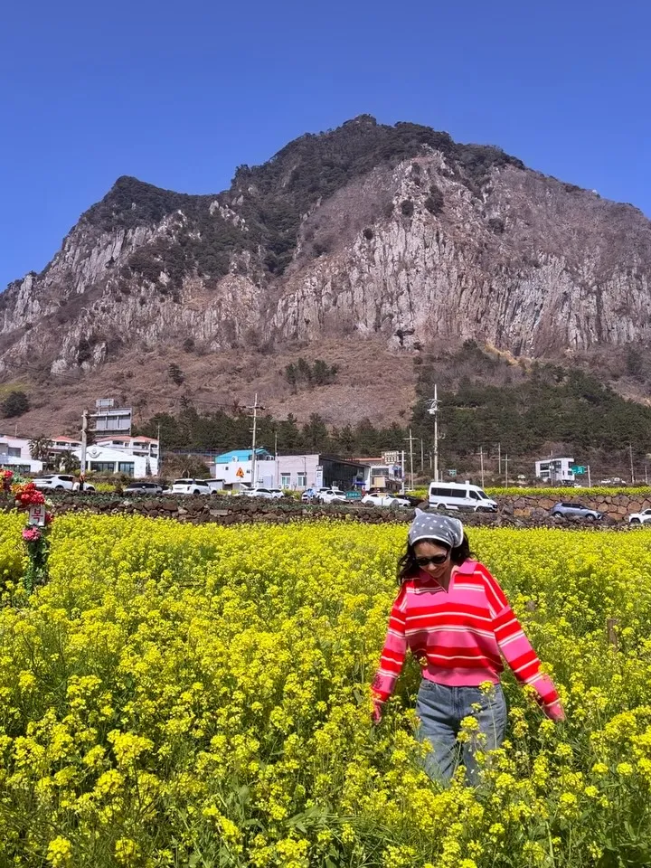 陈在英, Instagram, 更新