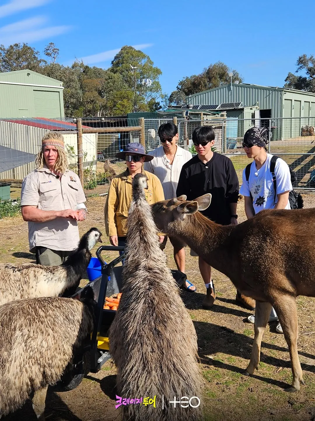 治愈时光，Theo带来的《疯狂之旅》