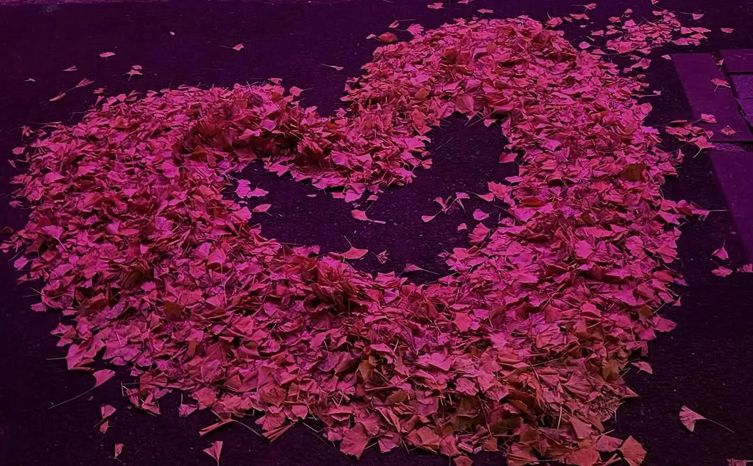 金雅英, 演员, Instagram, 更新, 粉丝