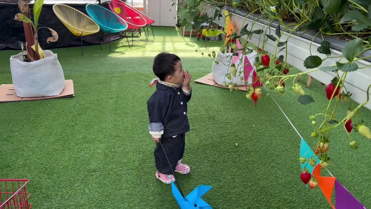 Hwang Bo-ra, actriz, actualización en Instagram, foto del pequeño, campo de fresas