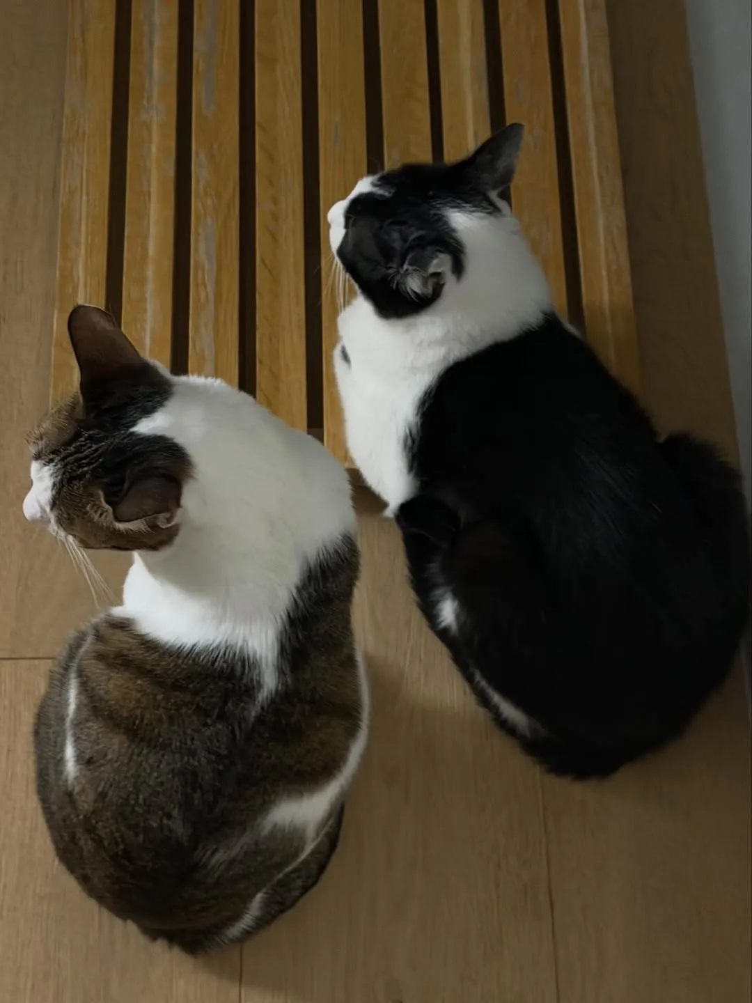 이동휘, 배우, 감사 인사, 인스타그램, 팬들