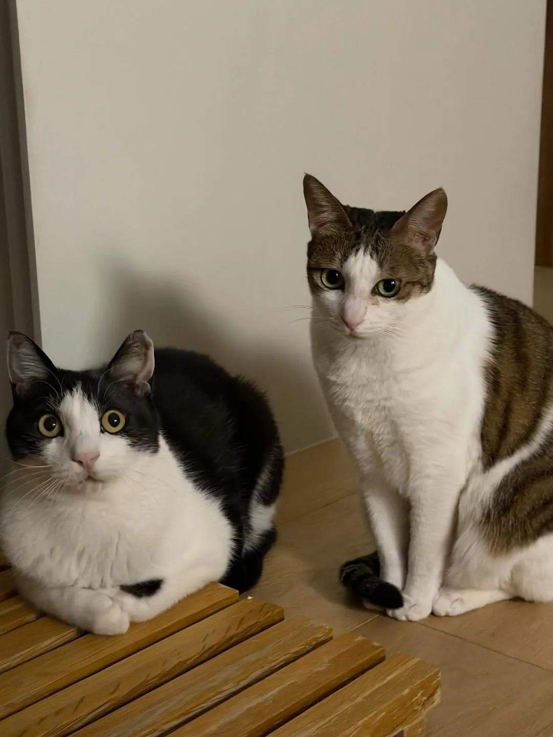 따뜻한 마음 전한 이동휘, 팬들에게 감사 인사