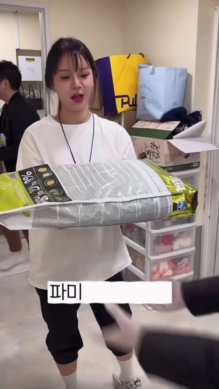 맹승지, 봉사활동, 유기견