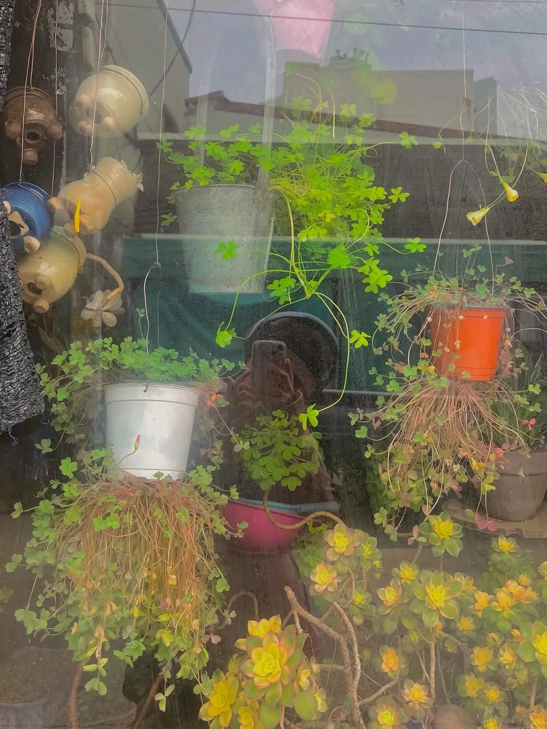 คิม ฮยางกีสดใส โพสต์อัปเดตอินสตาแกรมท่ามกลางธรรมชาติ