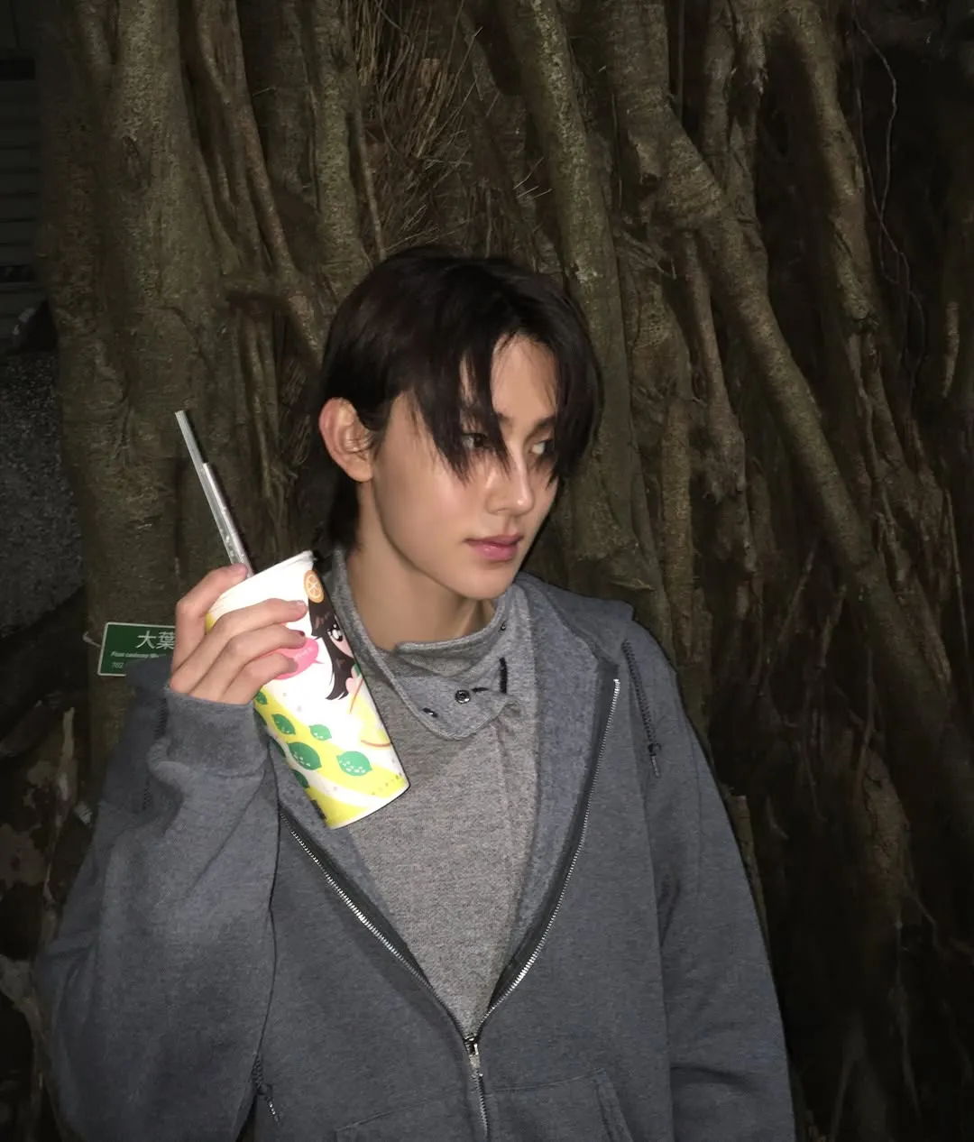 코르티스, 인스타그램, 밤 산책