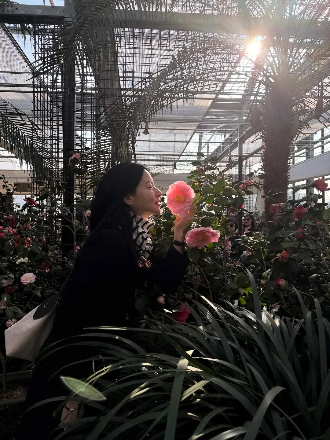 Young-ae Lee, actress, Jeju visit, camellia garden, Instagram