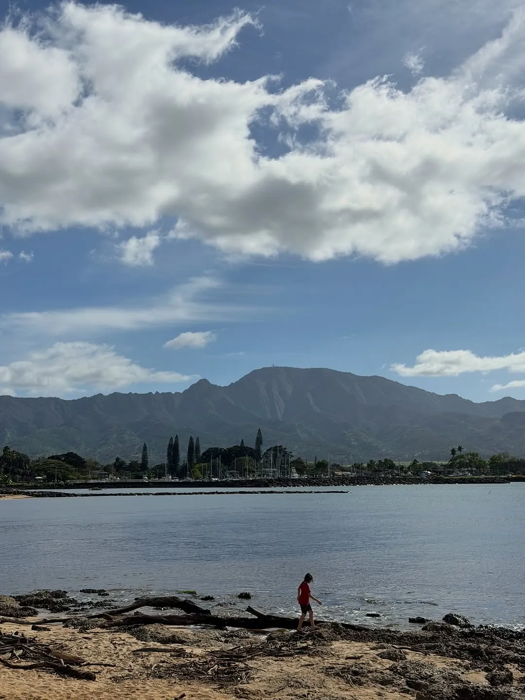 박보영, 배우, 하와이