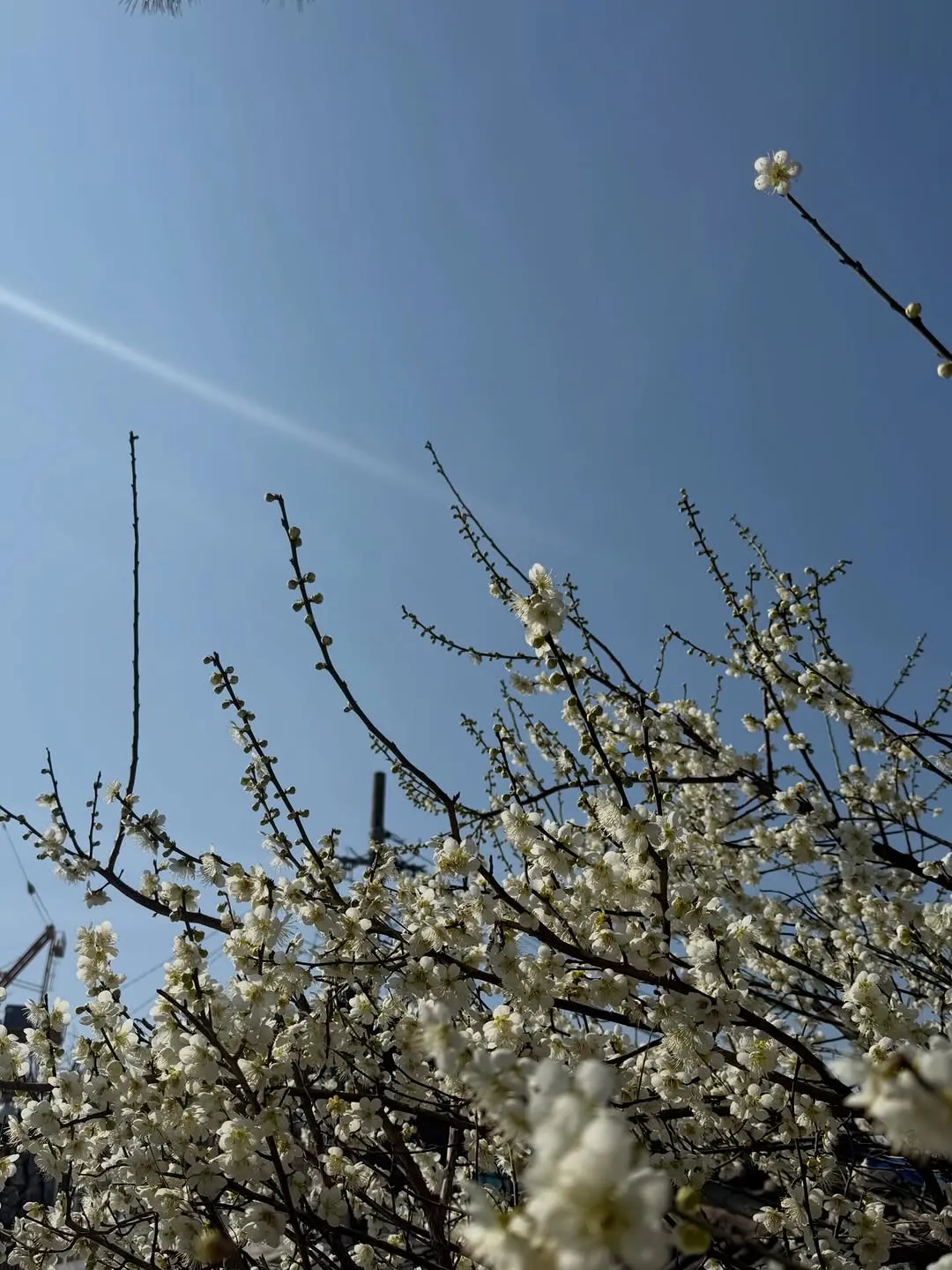 Kim Gyu-ri, Actress, Instagram