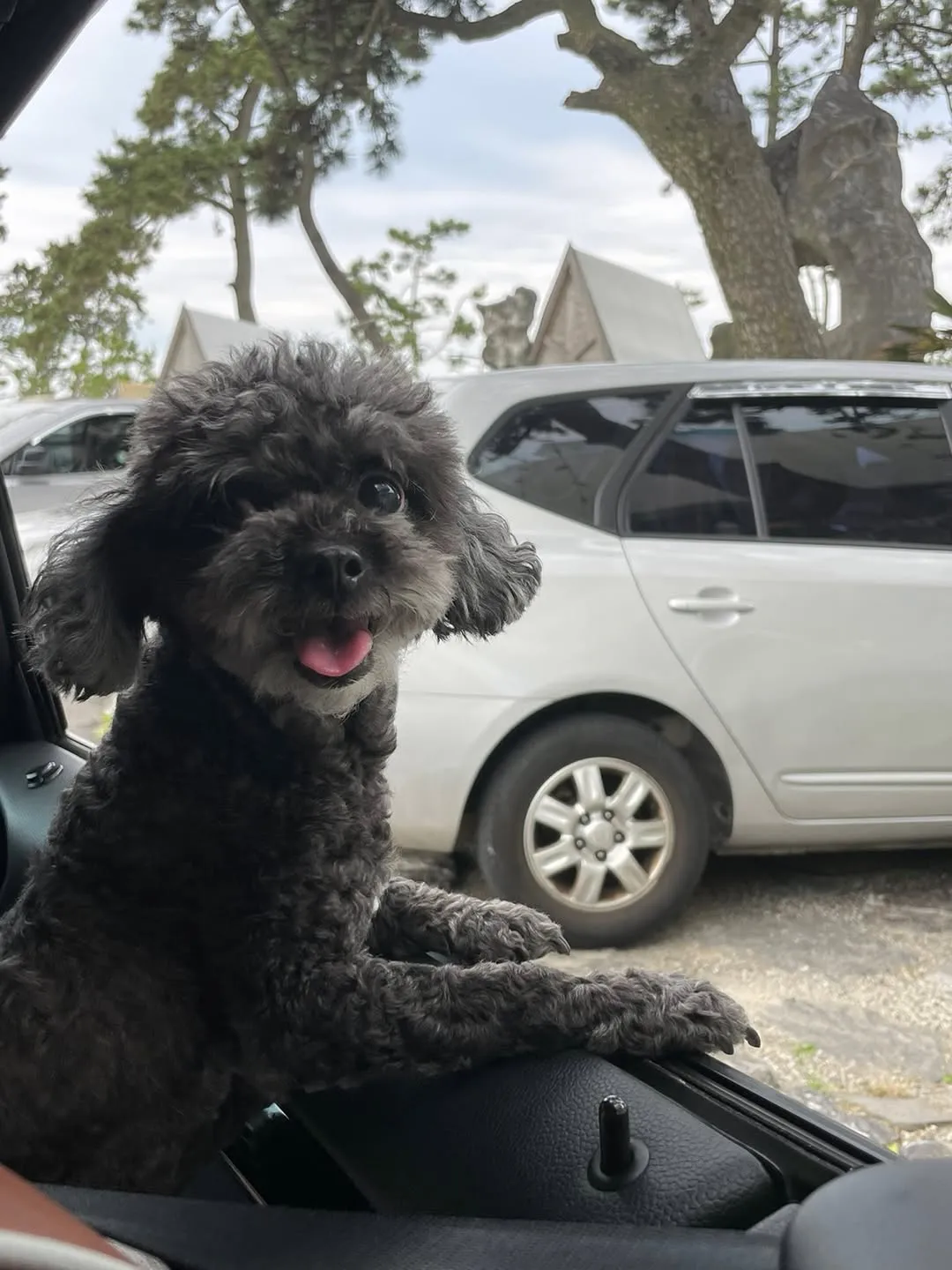 O fofo Kim Mujun curte momentos com seu cão de estimação