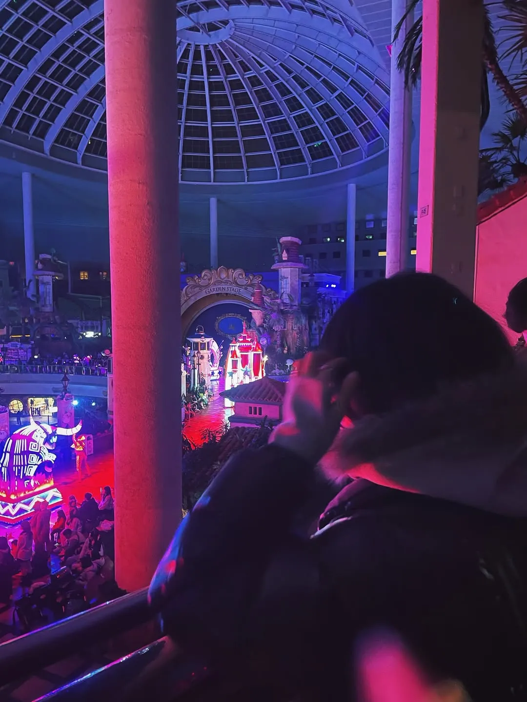 郑知晓, 演员, 游乐园