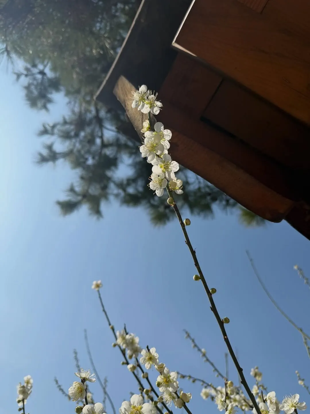 Kim Gyu-ri, Actress, Instagram