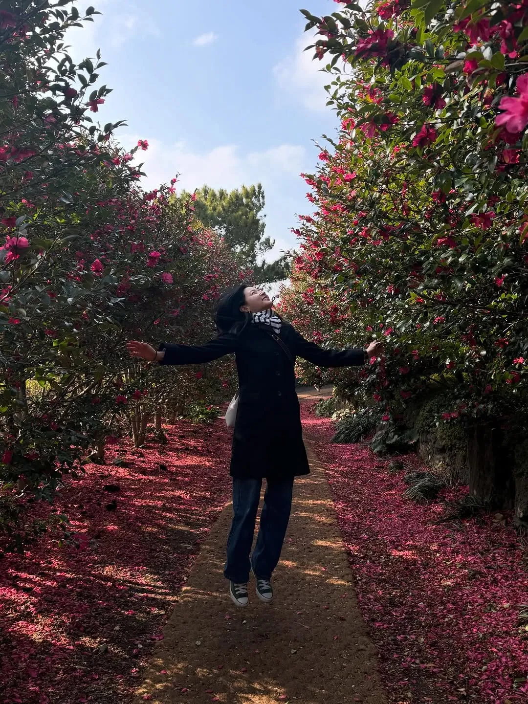 療癒時光，李英愛造訪濟州山茶花花園