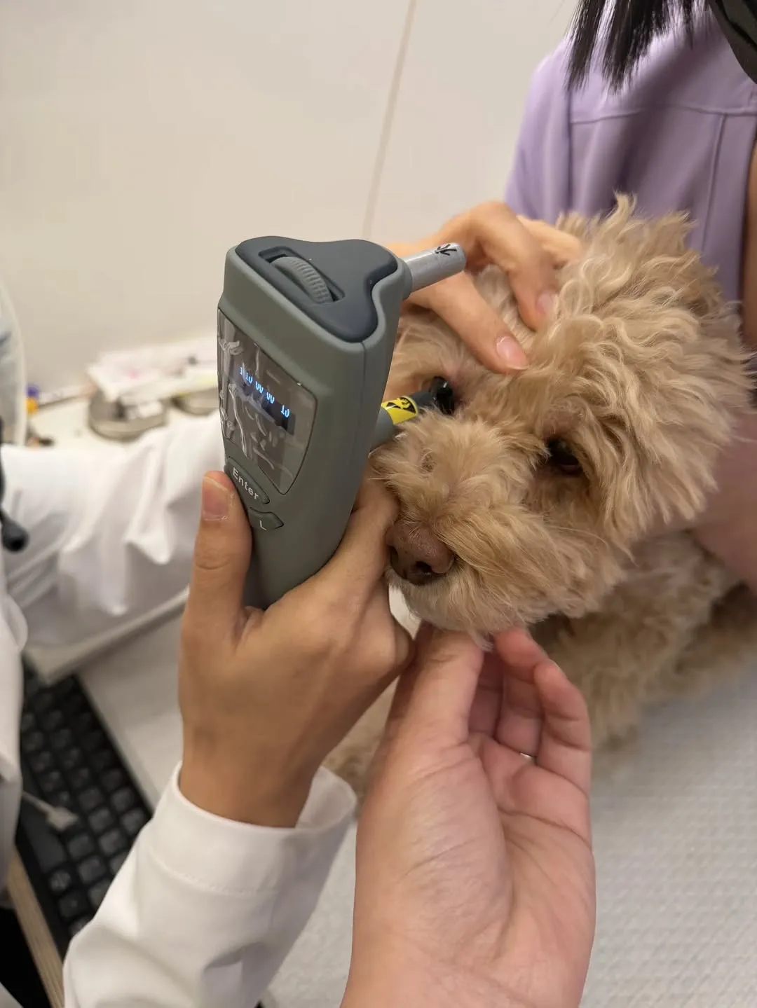 Min-ah Kim, Pet health checkup, Instagram