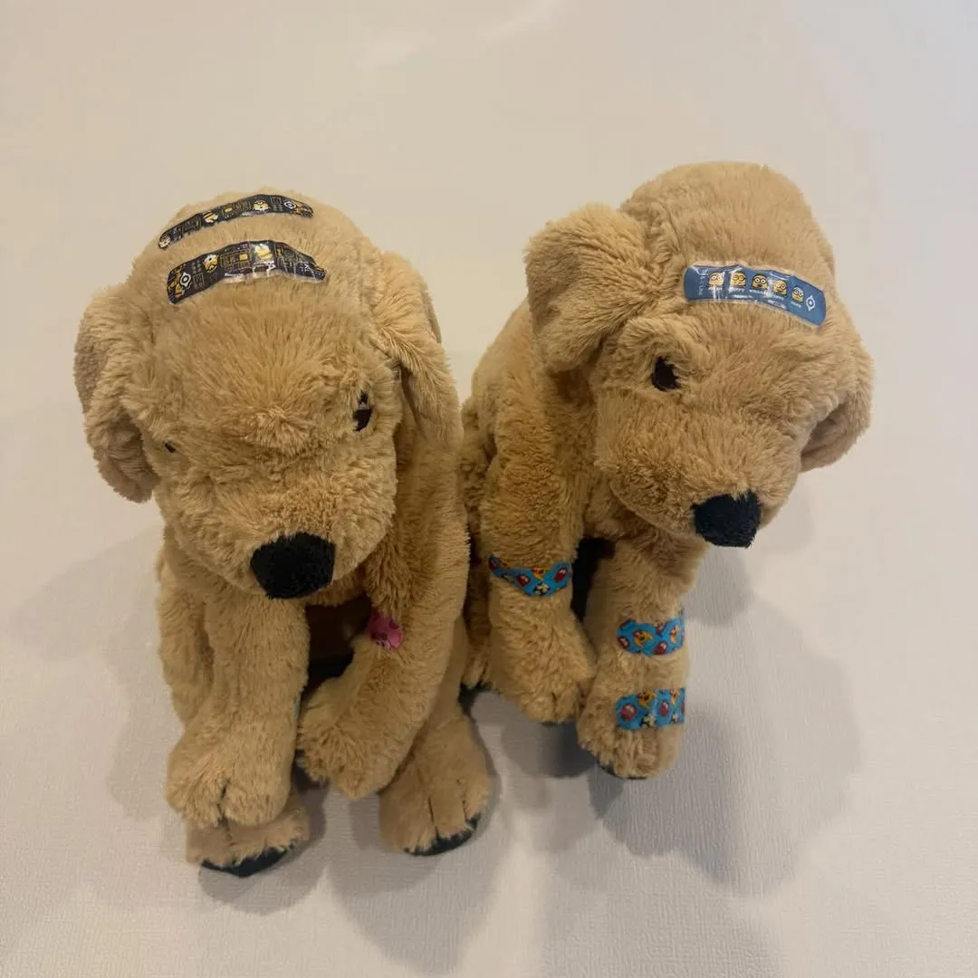 Coração acolhedor: a história dos curativos nos bonecos de Lee Min-jung