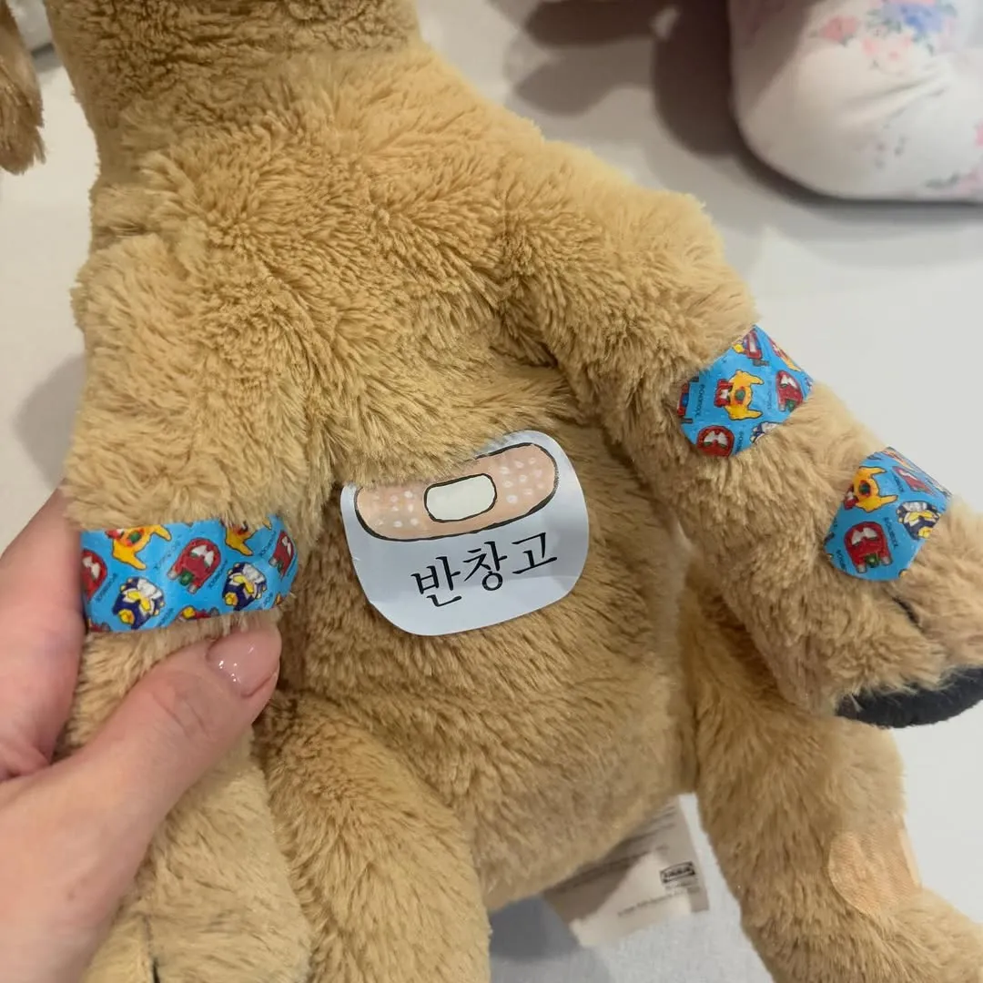 이민정, 배우, 인스타그램