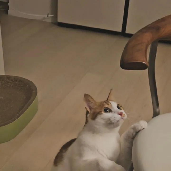 คิมยูมี, นักแสดง, อินสตาแกรม