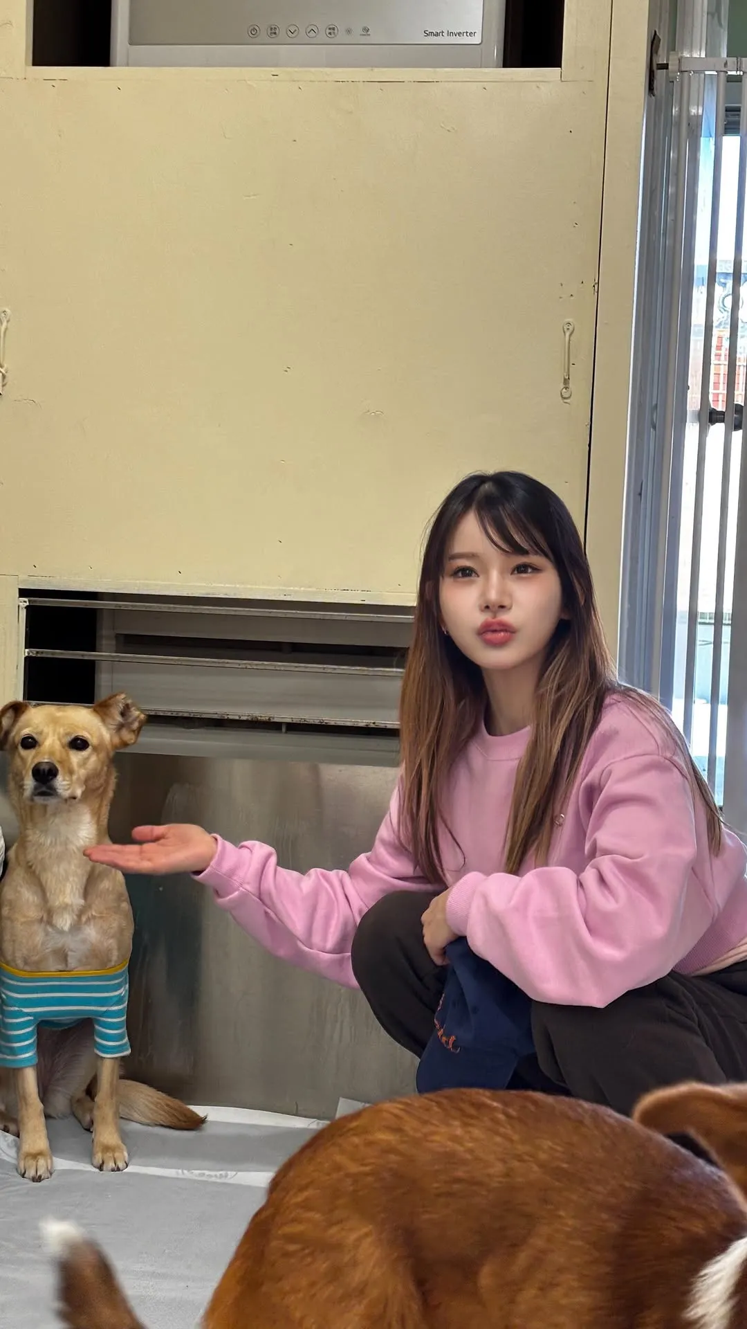 Maeng Seung-ji chia sẻ yêu thương qua hoạt động tình nguyện cho chó bị bỏ rơi