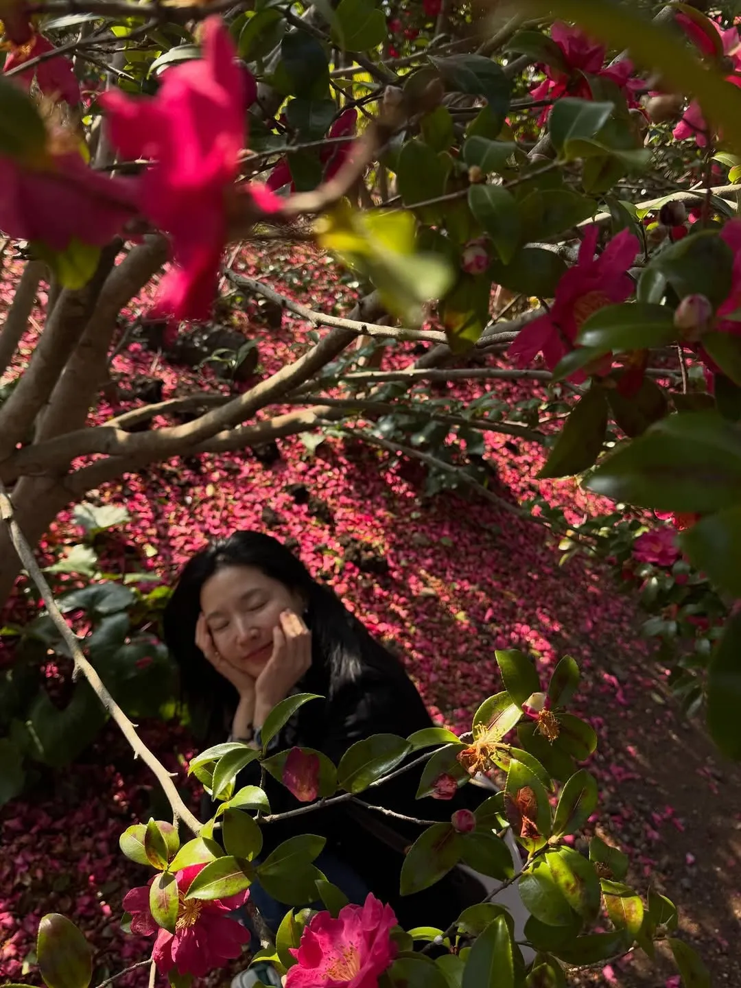 Young-ae Lee, actress, Jeju visit, camellia garden, Instagram