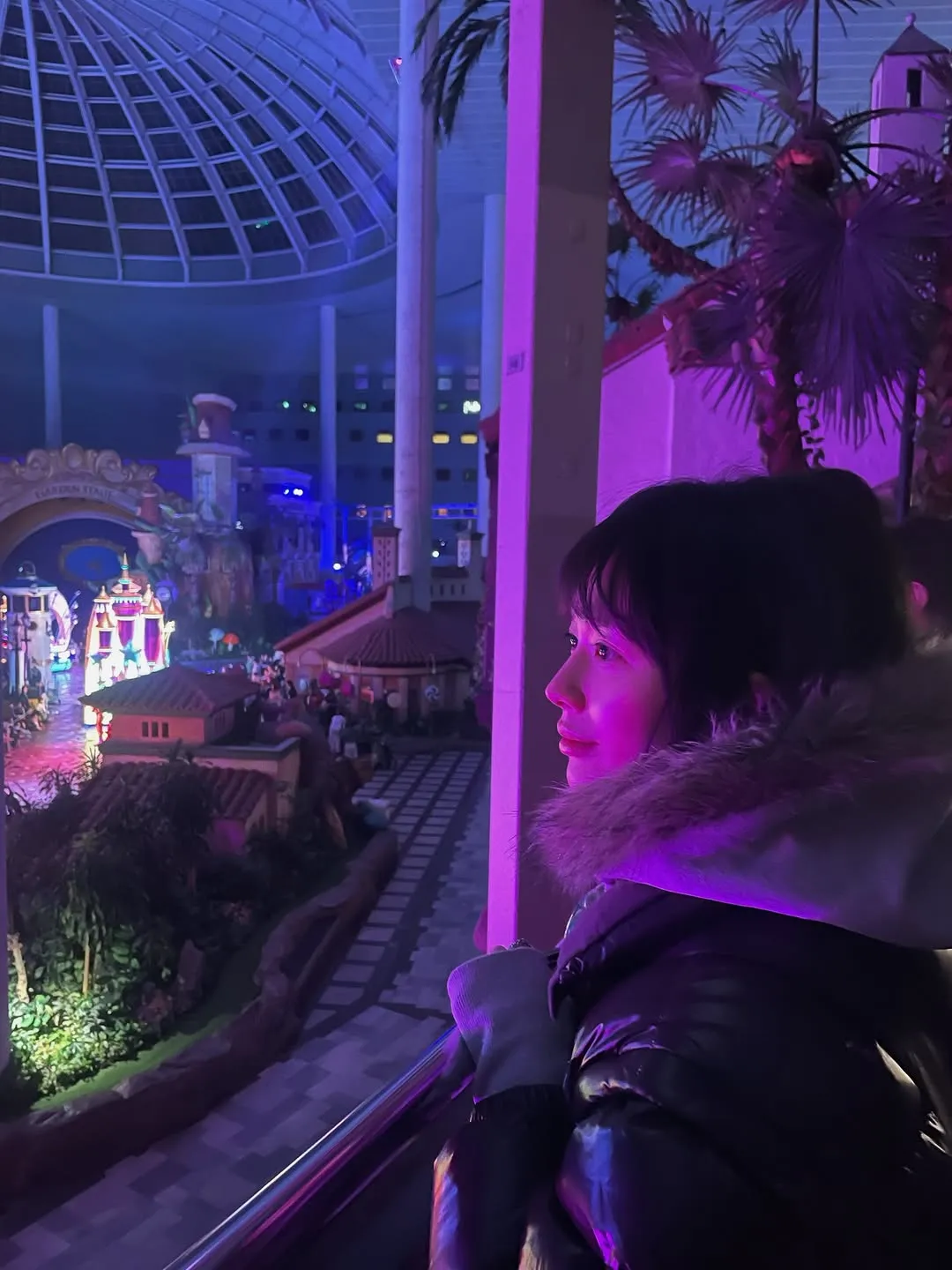 郑知晓, 演员, 游乐园