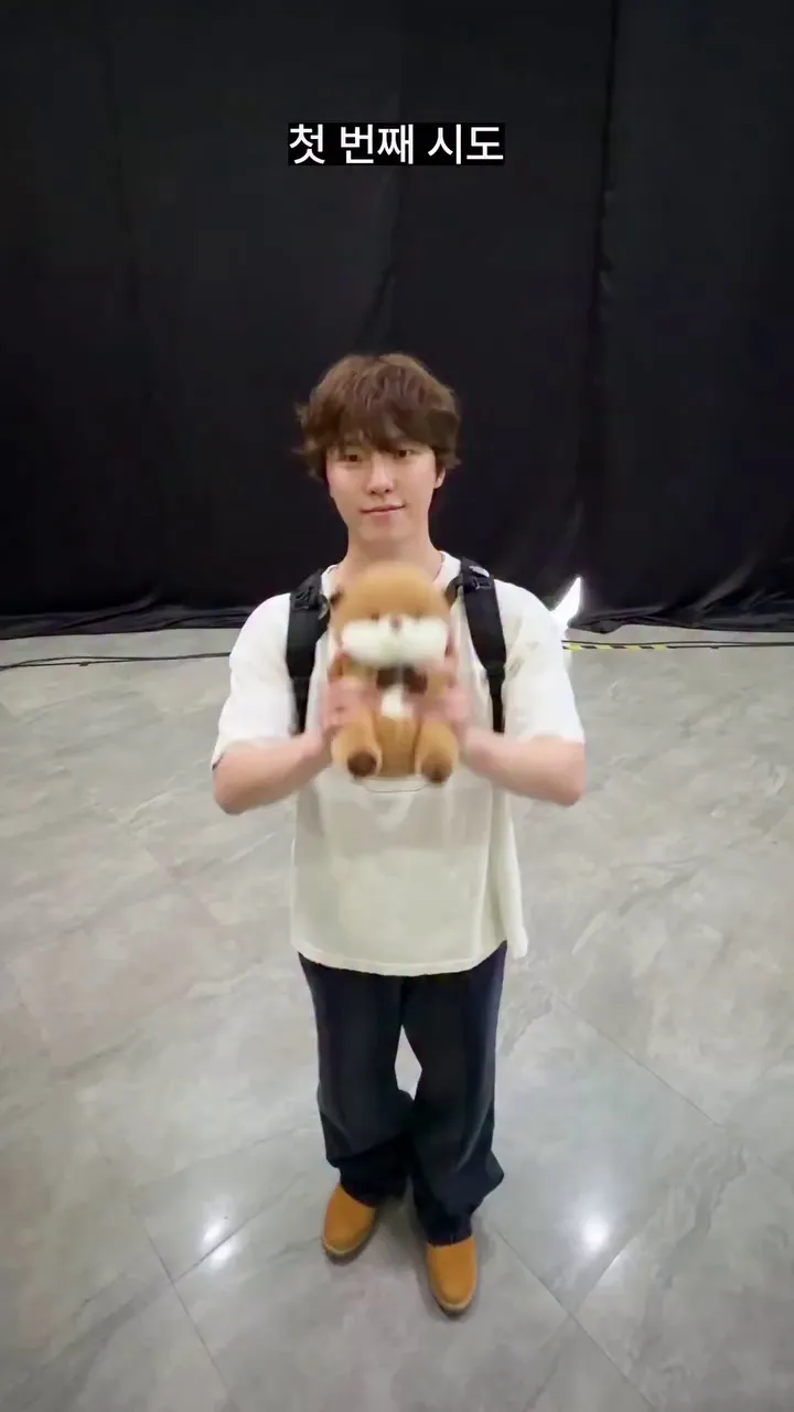 SEVENTEEN, 偶像, 金珉奎, 挑战, 粉丝