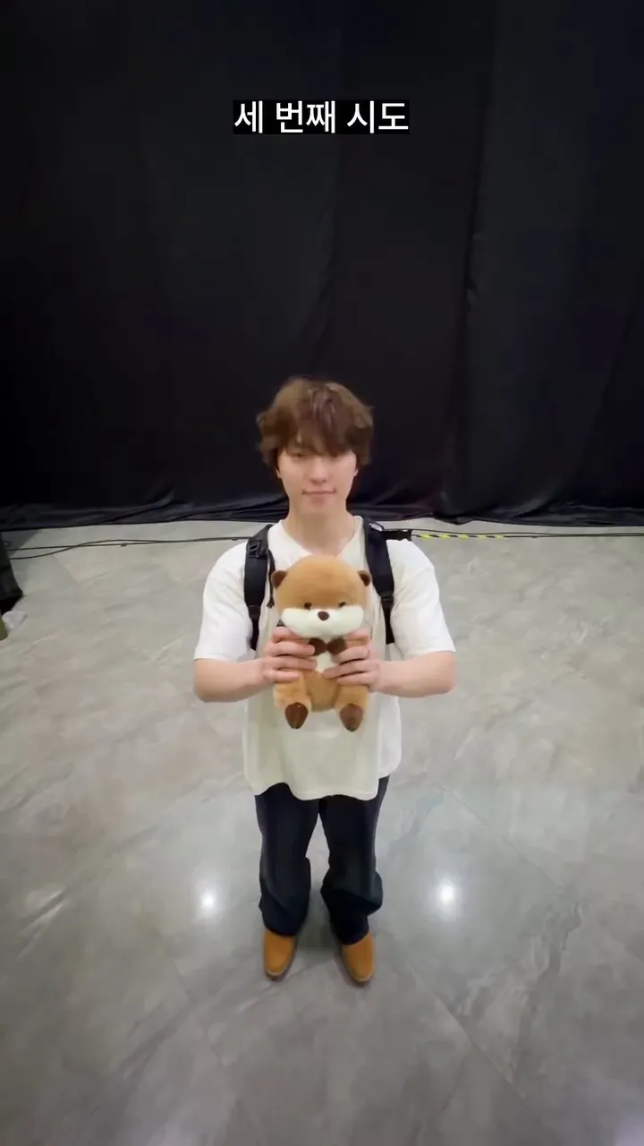 SEVENTEEN, 偶像, 金珉奎, 挑战, 粉丝