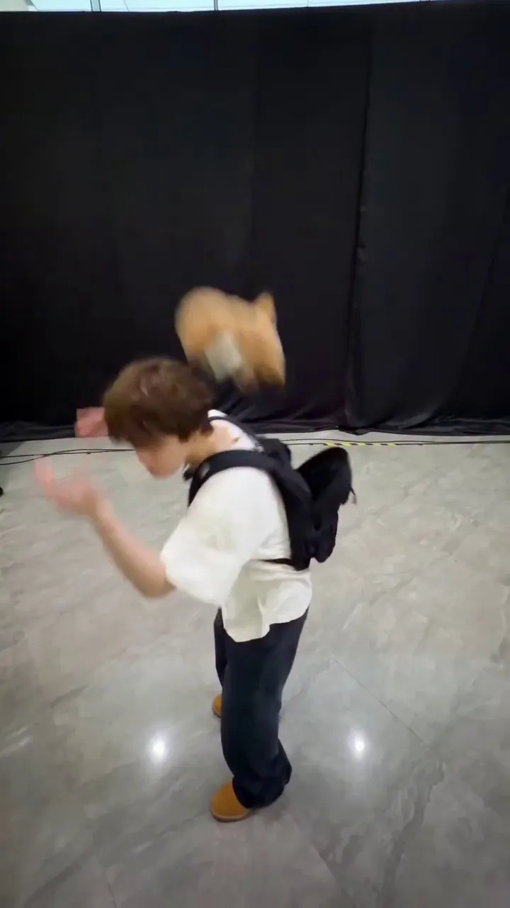 SEVENTEEN, idol, Instagram