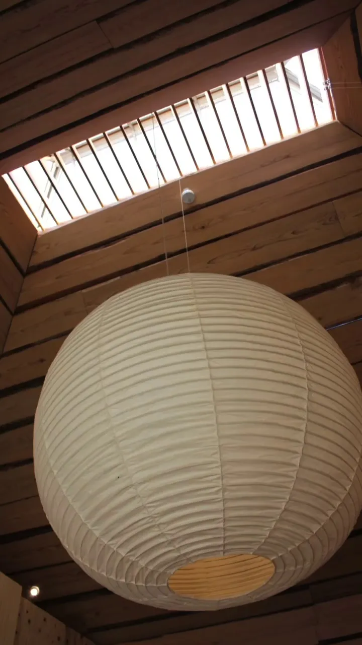 矢野志保, 模特, 淡路岛