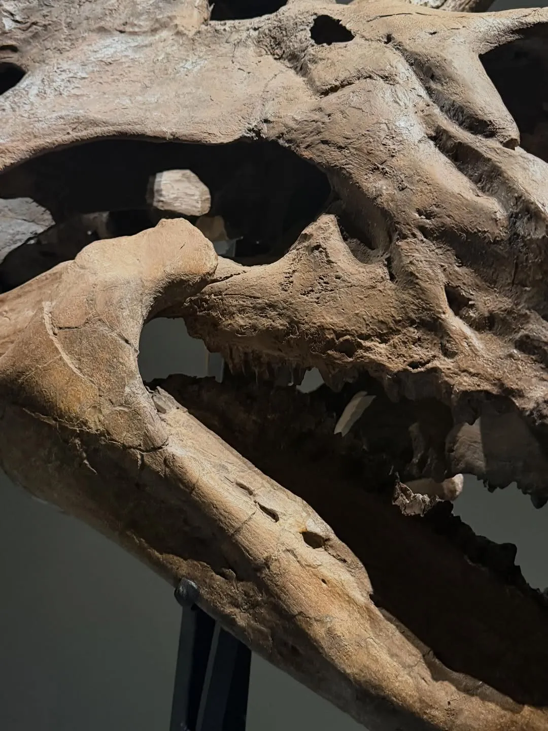 우찬, 아이돌, 인스타그램