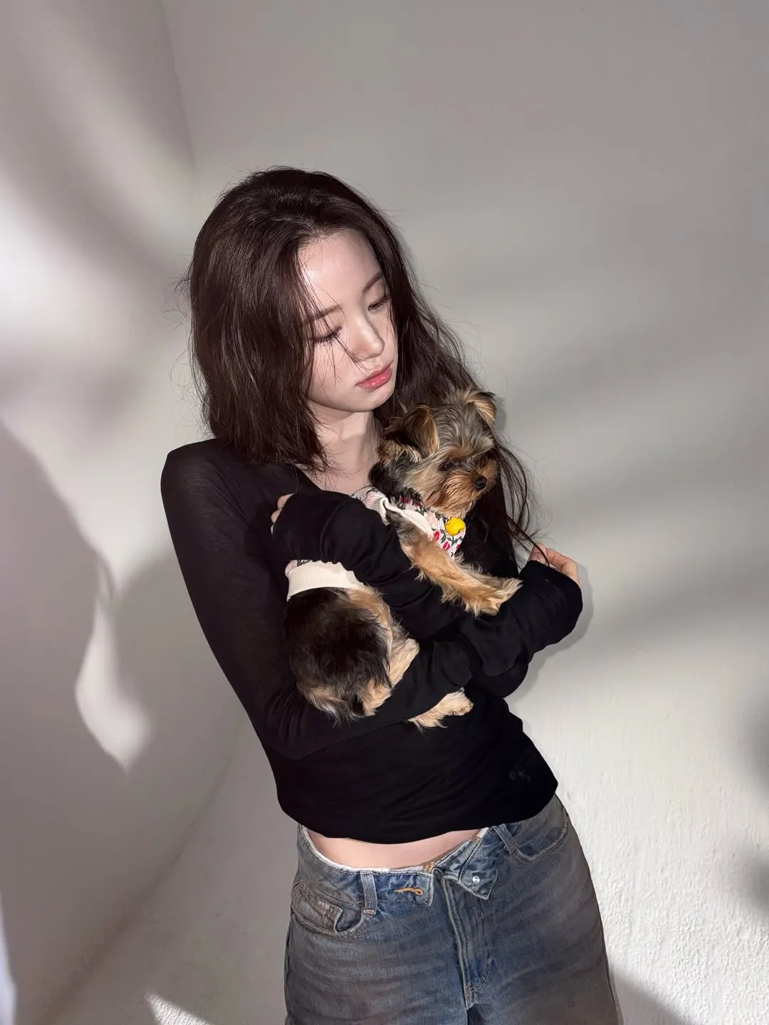 Shin Si-a, aktris, pembaruan