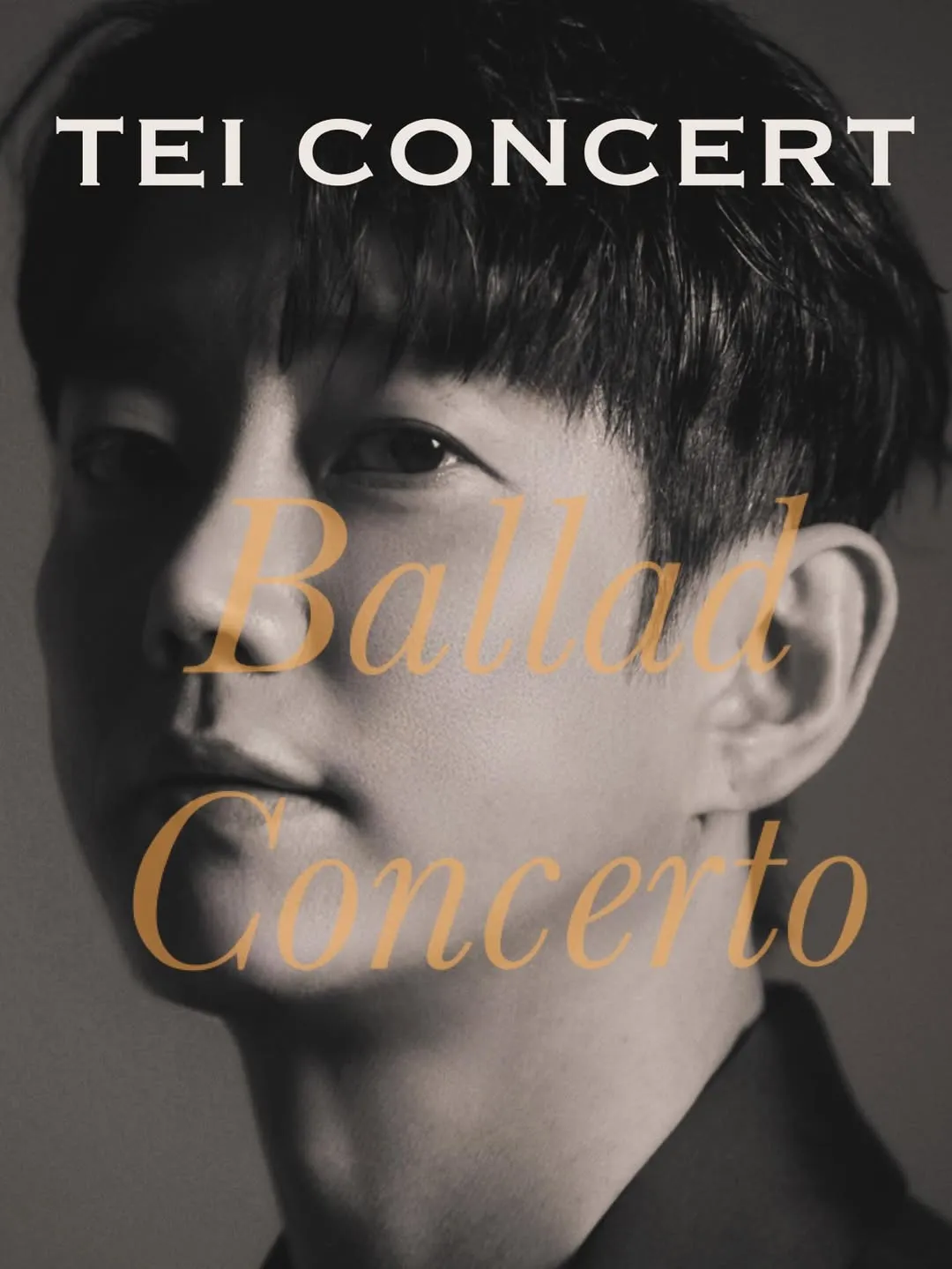 Tei, 歌手, 演唱會