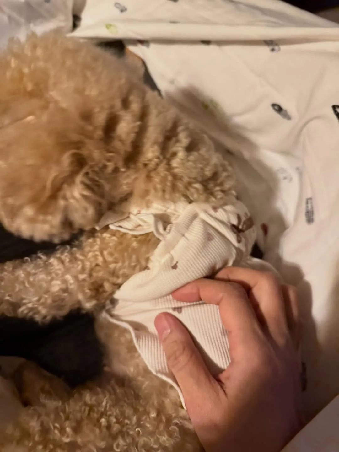 Park Yoochun, cantante, Instagram, mascota, reacciones de los fans