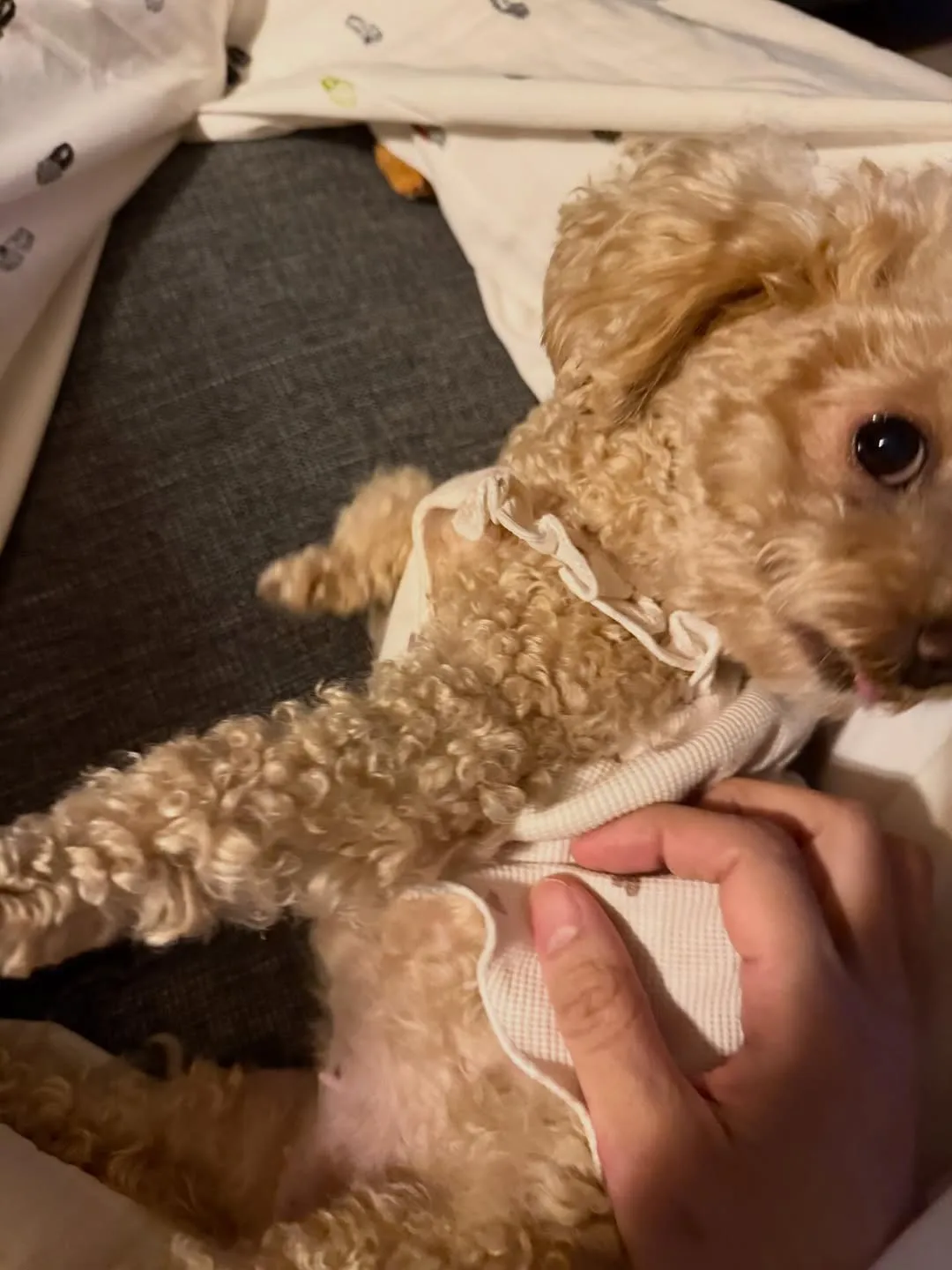 Park Yoochun derrite corazones con un tierno momento junto a su perrita Daisy