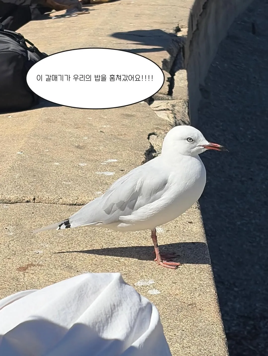 Seolhyun, Actress, Instagram, Beach, Daily Life, Hot Dog, Coca-Cola, Fans' Reactions