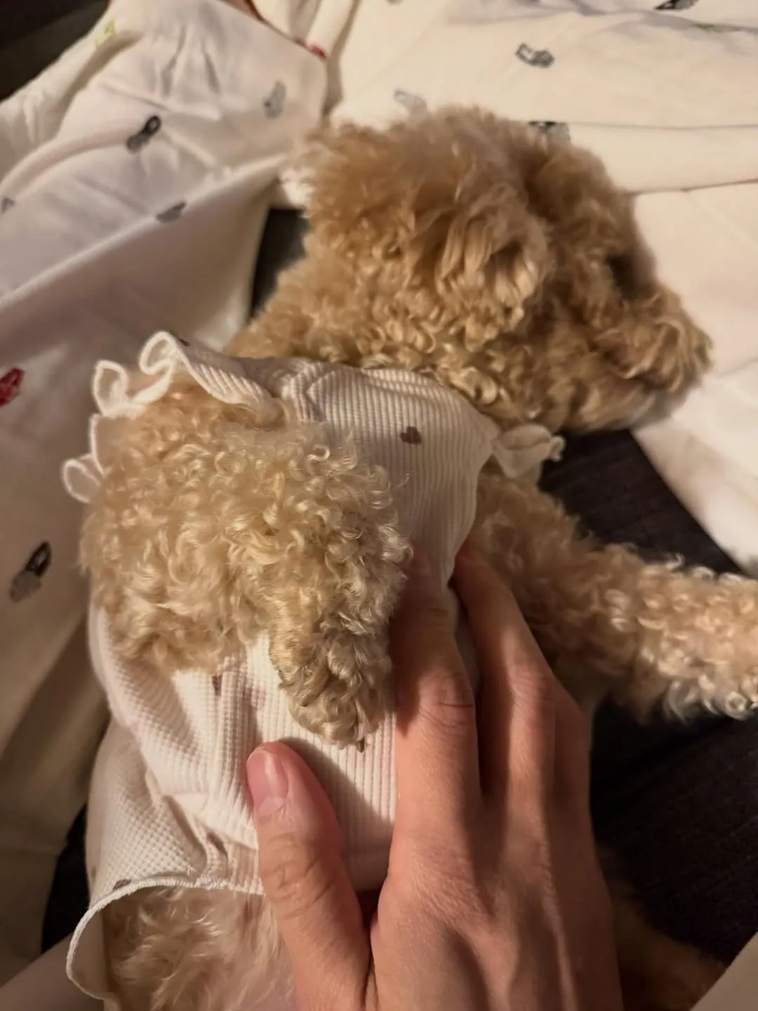 Park Yoochun, cantante, Instagram, mascota, reacciones de los fans