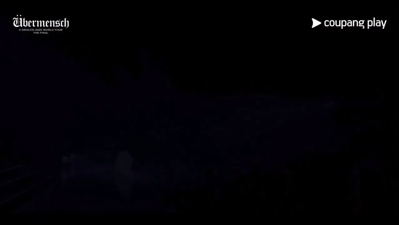 ジードラゴン, 歌手, コンサート