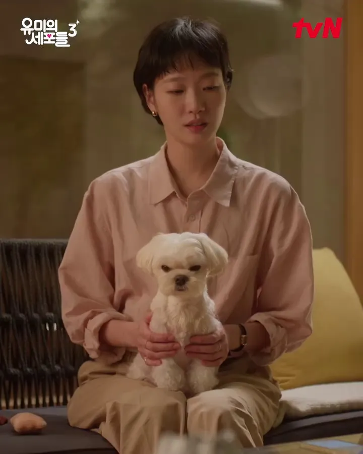 tvN, 드라마, 유미의 세포들 3, 메인 예고, 김고은, 김재원, 순록, 유미