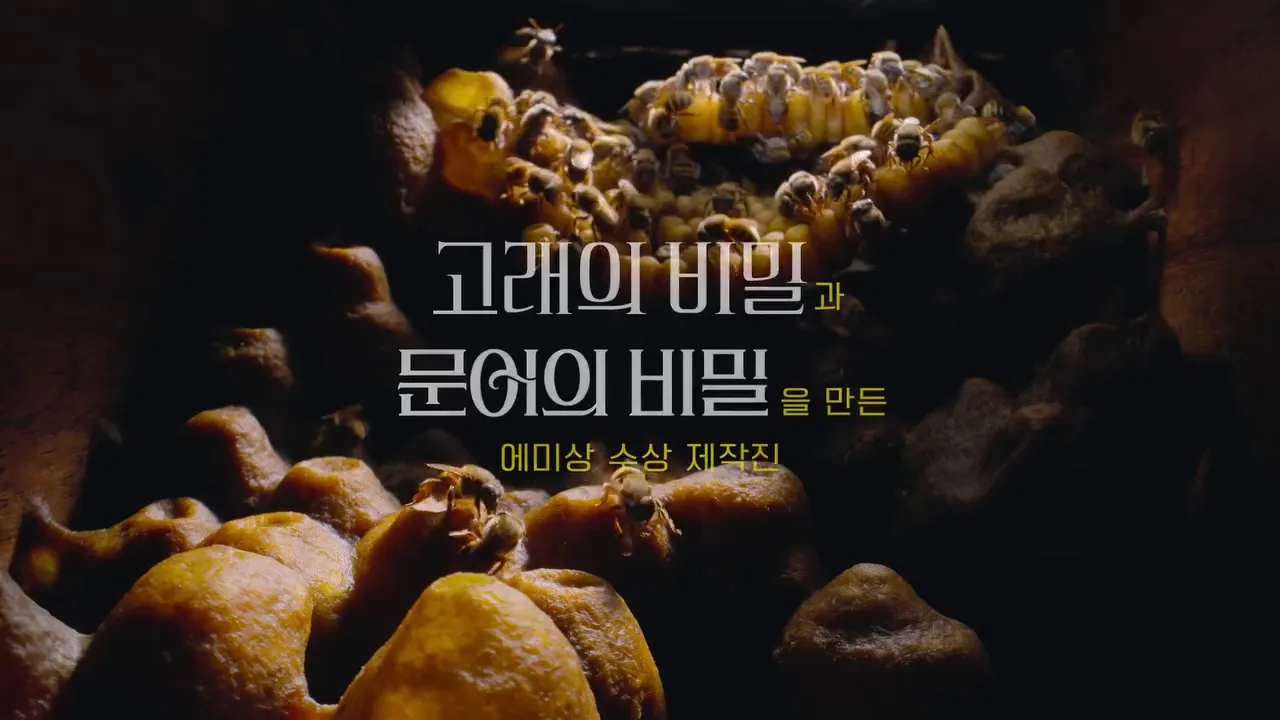 Disney+, dokumenter, Rahasia Lebah