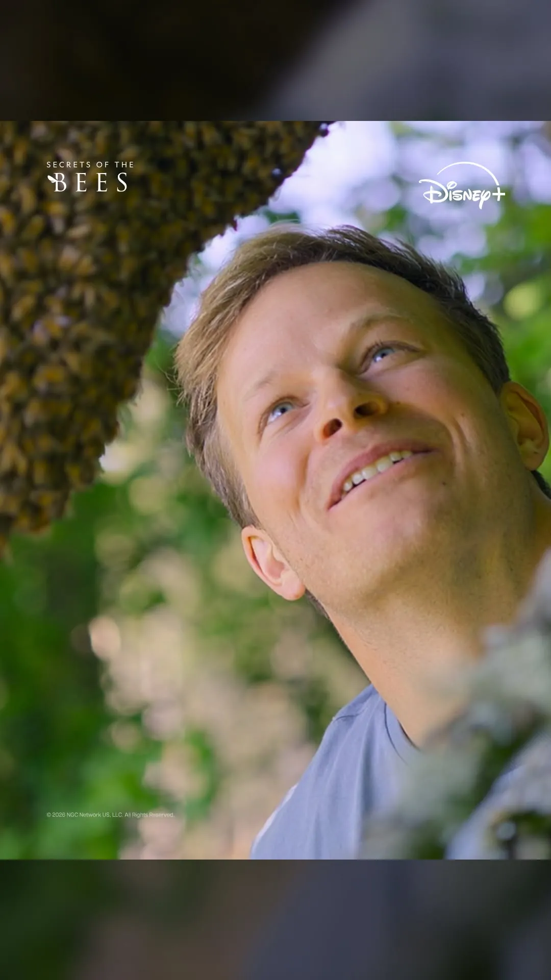 Kecil namun kuat, eksplorasi dunia lebah Disney+