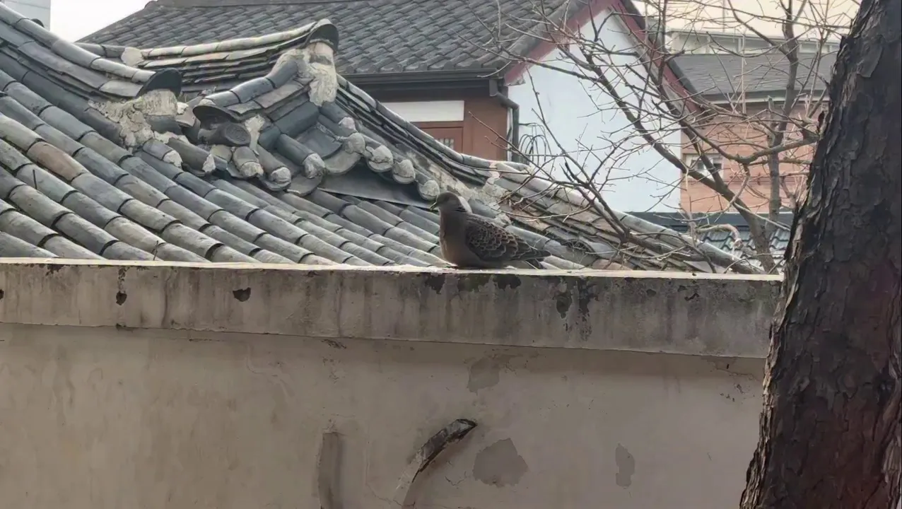 Kim Gyu-ri, diễn viên, Instagram, cập nhật, sẻ chia