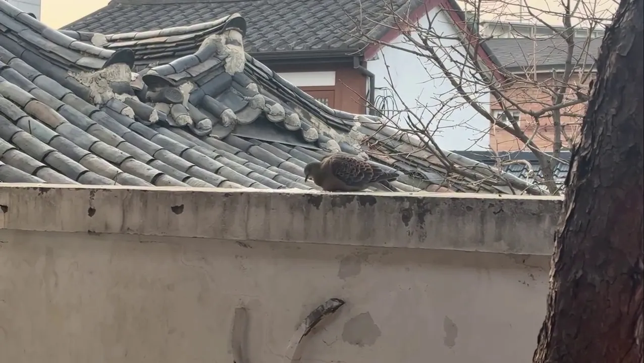 Kim Gyu-ri, diễn viên, Instagram, cập nhật, sẻ chia