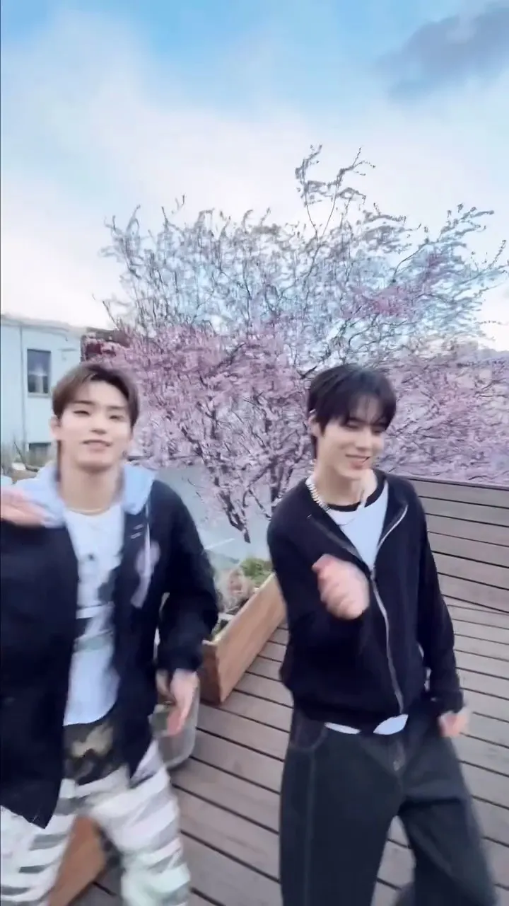 82MAJOR, thần tượng, video