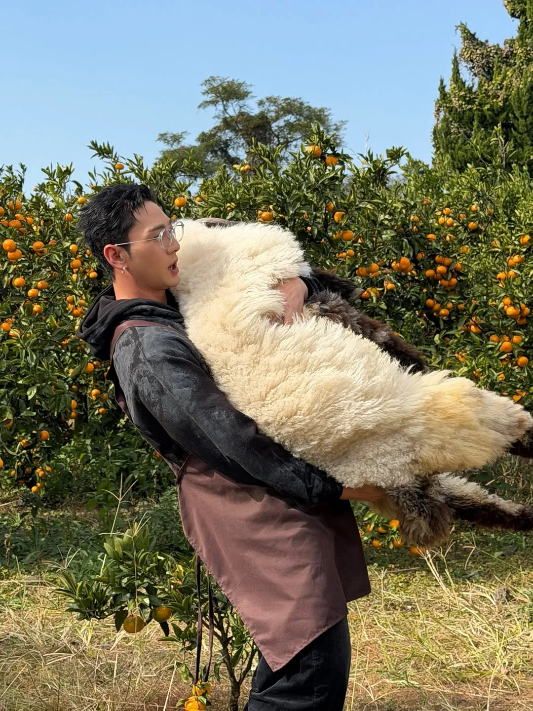 귀여운 백호, 양과의 포근한 순간