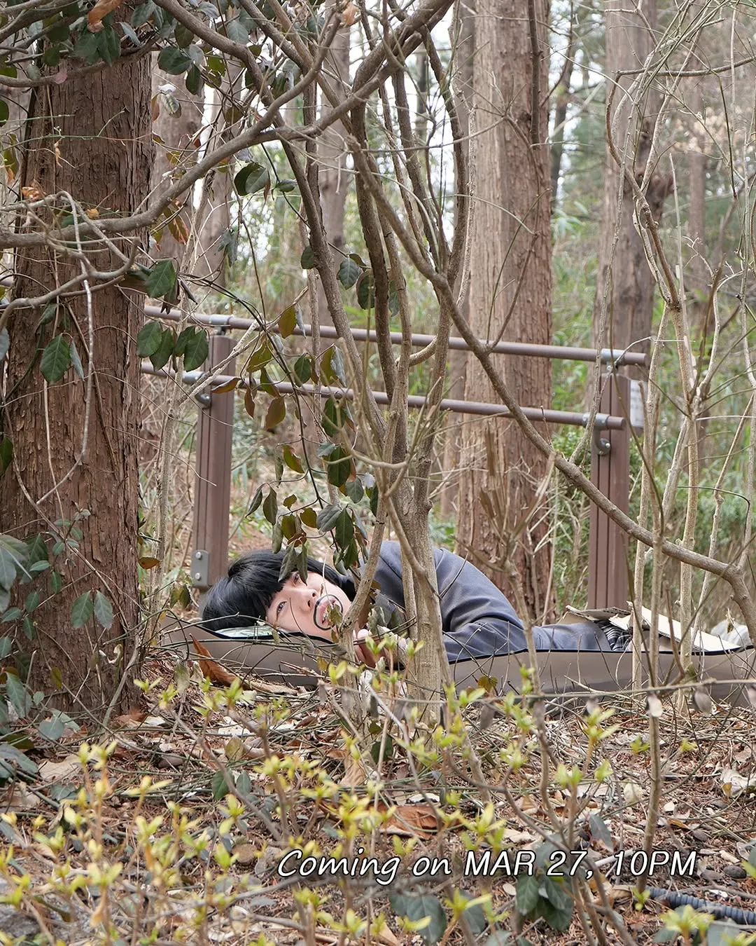 Ddeun Ddeun criativo, flagrado na floresta