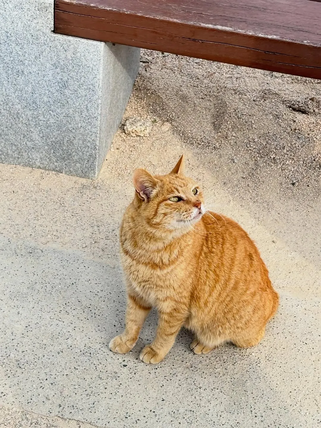 Kim Hyang-gi, diễn viên, Instagram