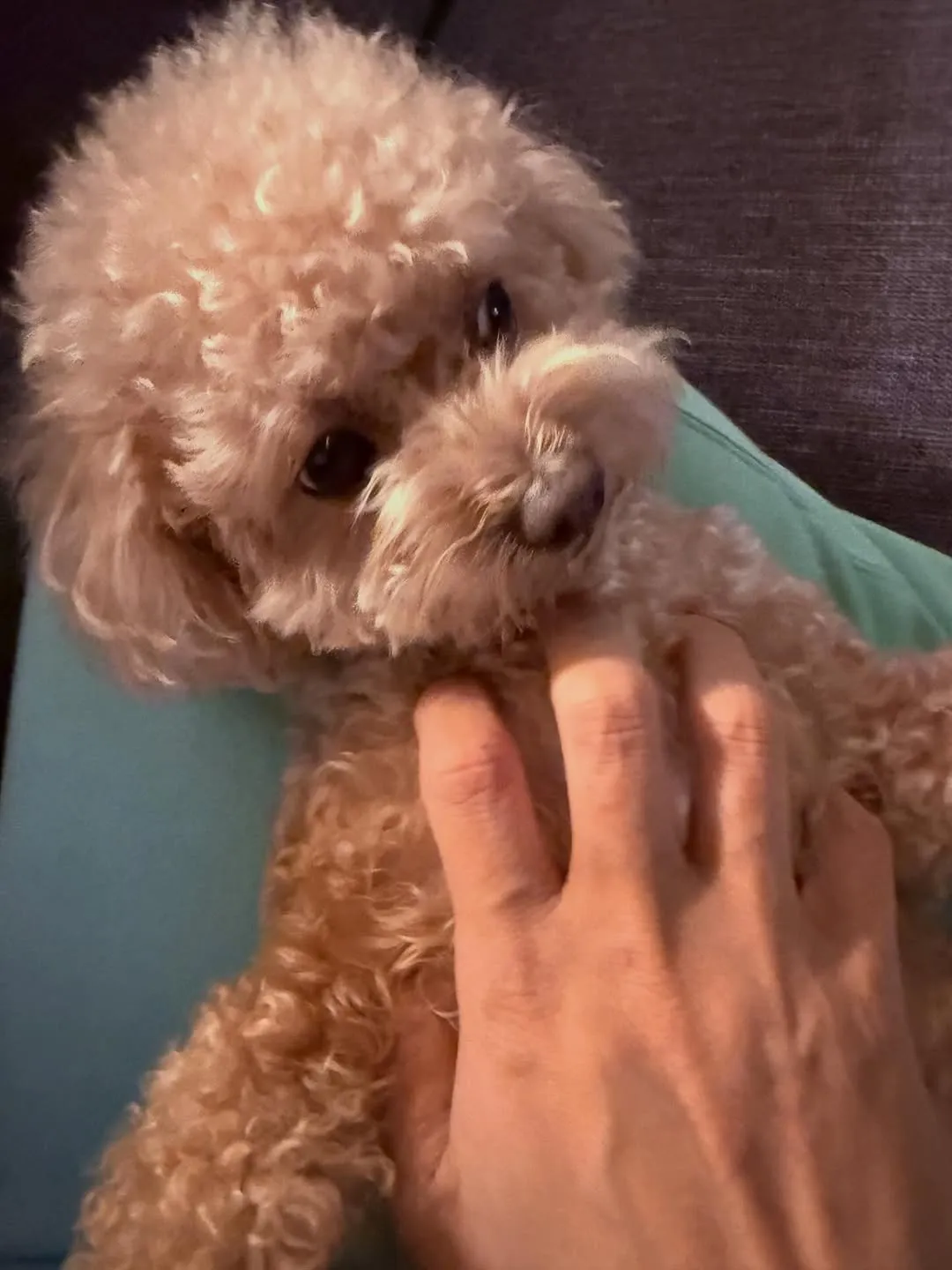 พัคยูชอน แชร์โมเมนต์แสนสุขกับสุนัขเลี้ยง